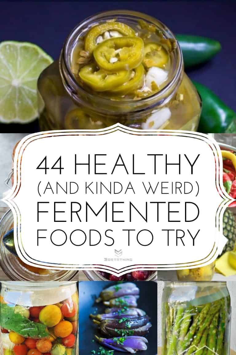 44 Fermented Foods Article Image